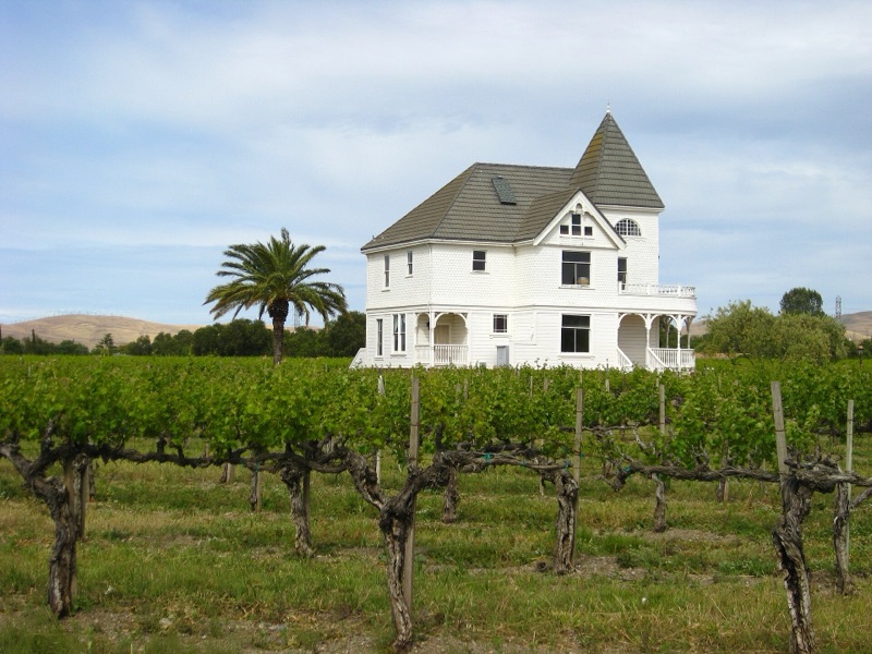 Livermore Wine Country