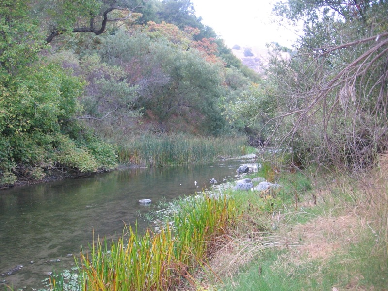 Niles Canyon & Sunol
